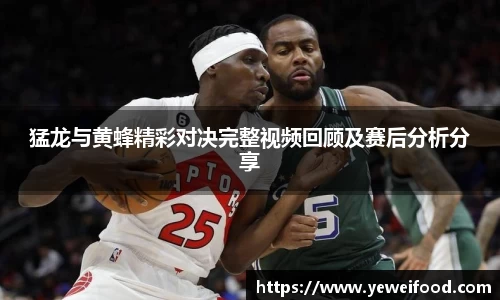 三亿体育猛龙与黄蜂精彩对决完整视频回顾及赛后分析分享